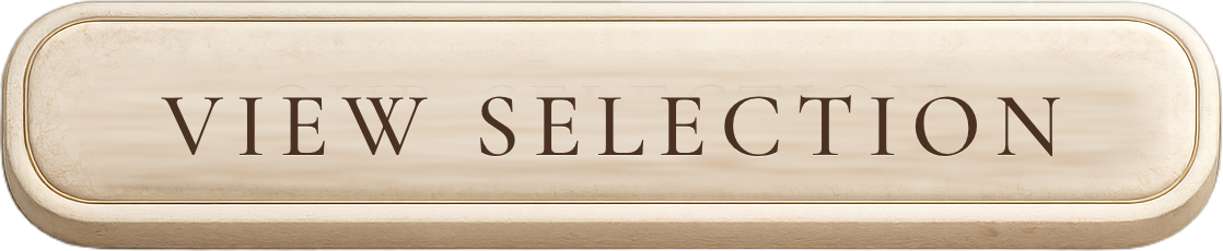 VIEW SELECTION